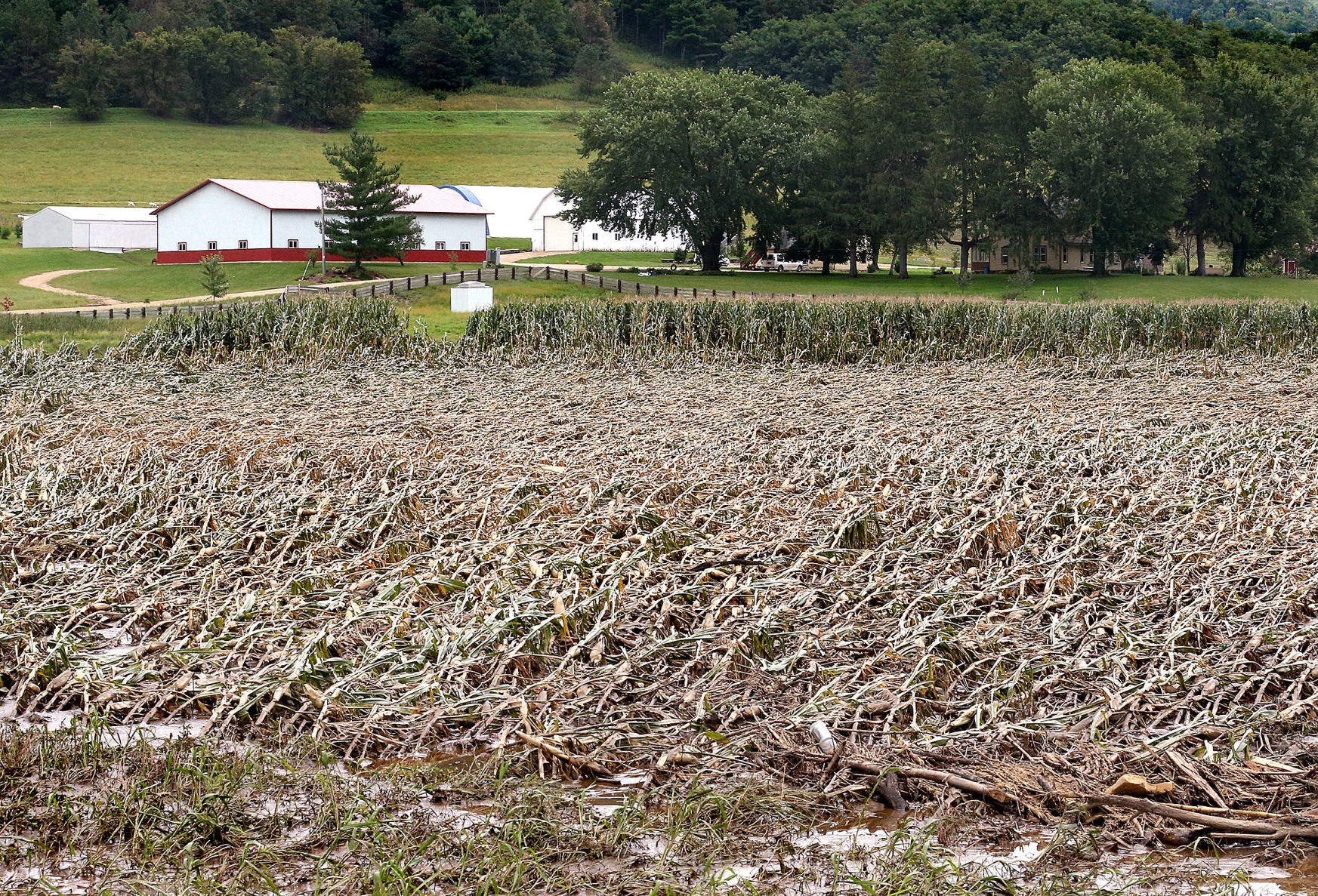 Sep. 5: Coon Valley
